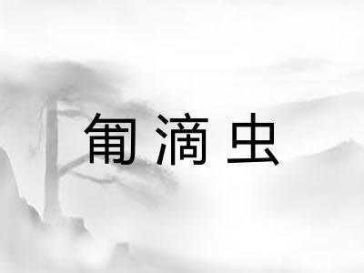 匍滴虫
