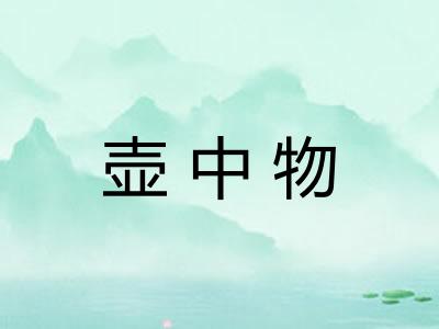 壶中物