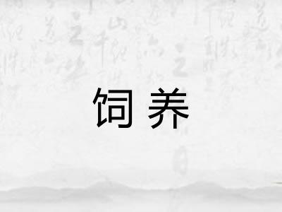 饲养