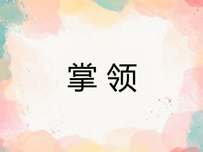 掌领