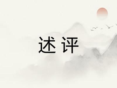 述评