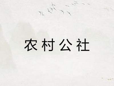 农村公社