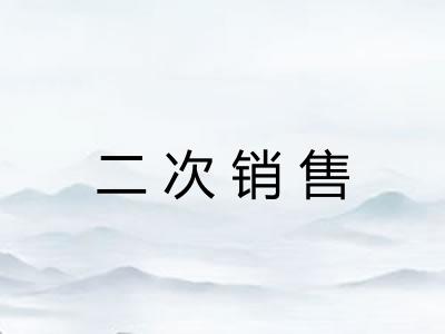二次销售 二次销售