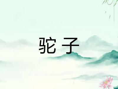 驼子