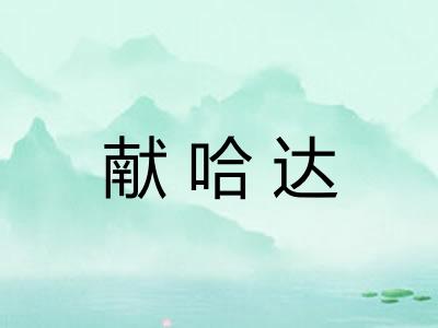 献哈达 献哈达