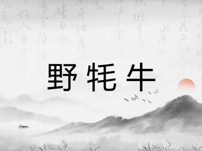 野牦牛 野牦牛