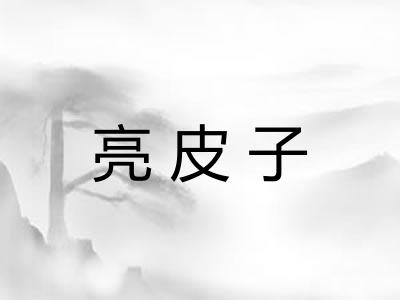 亮皮子 亮皮子