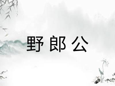 野郎公