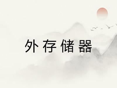 外存储器