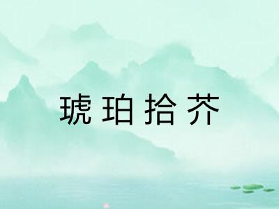 琥珀拾芥 琥珀拾芥