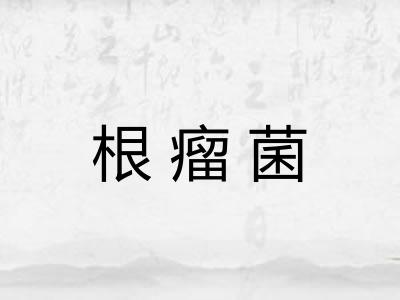 根瘤菌
