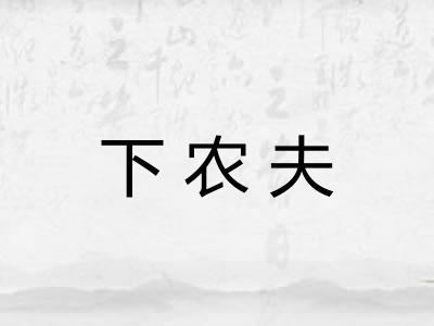 下农夫