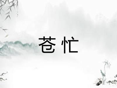 苍忙