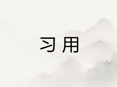 习用