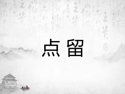 点留