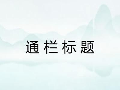 通栏标题 通栏标题
