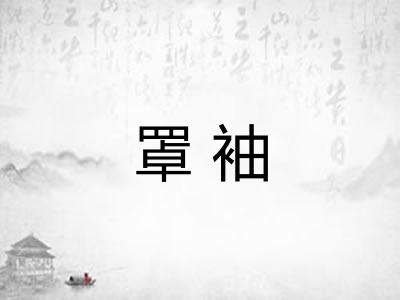 罩袖