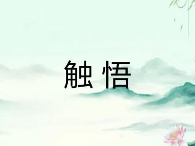 触悟