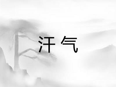 汗气 汗气