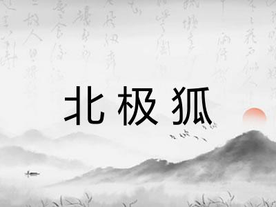 北极狐