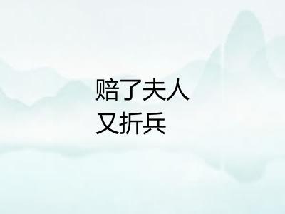 赔了夫人又折兵