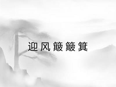 迎风簸簸箕 迎风簸簸箕