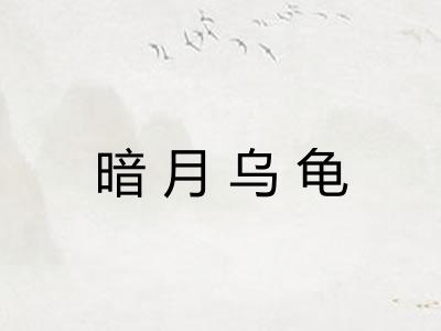 暗月乌龟
