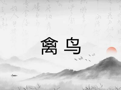 禽鸟