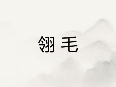 翎毛
