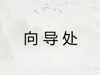 向导处