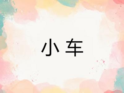 小车