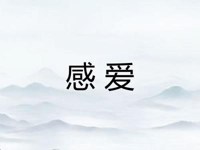 感爱 感爱