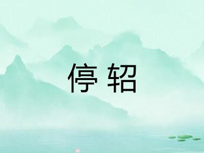 停轺