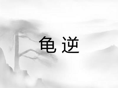 龟逆