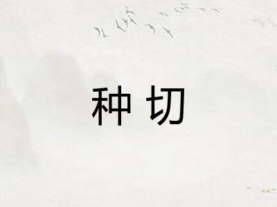 种切 种切