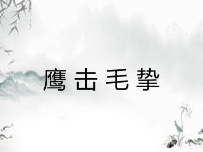 鹰击毛挚 鹰击毛挚