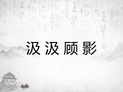 汲汲顾影