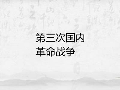 第三次国内革命战争 第三次国内革命战争