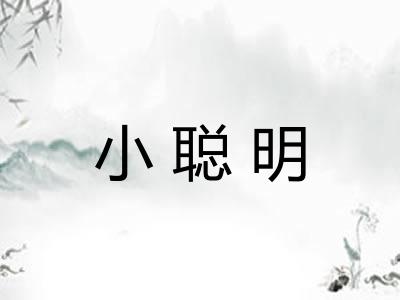 小聪明 小聪明
