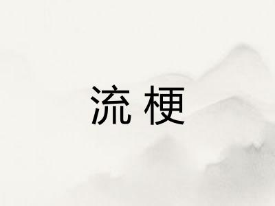 流梗