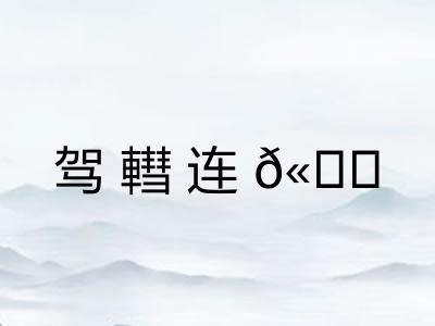 驾轊连𫐄