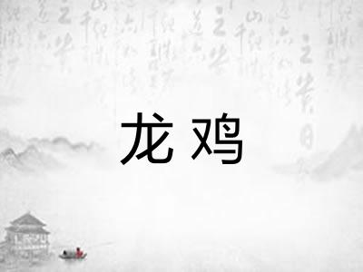 龙鸡