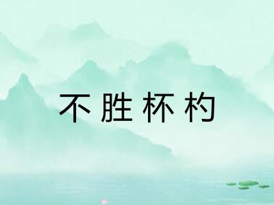 不胜杯杓