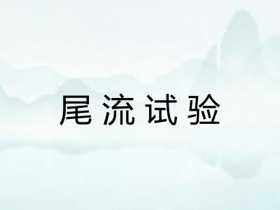 尾流试验