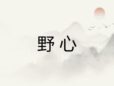 野心
