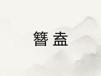 簪盍