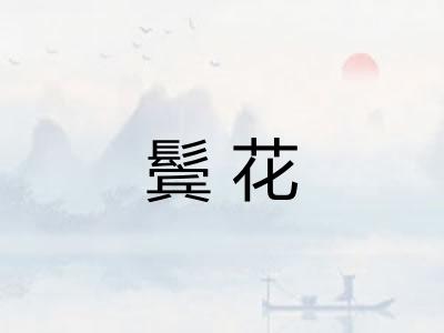 鬓花 鬓花