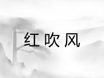 红吹风