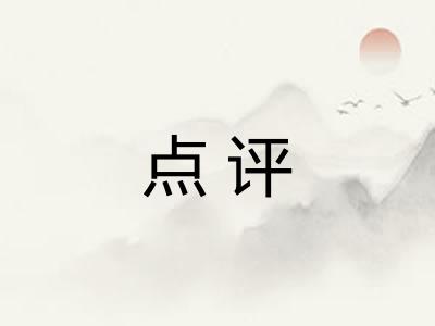 点评
