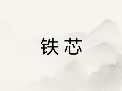 铁芯